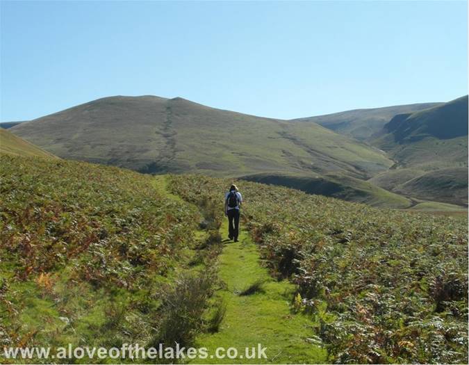 The path swings left