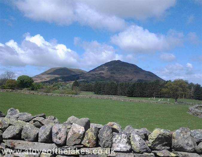 Darling Fell and Low Fell