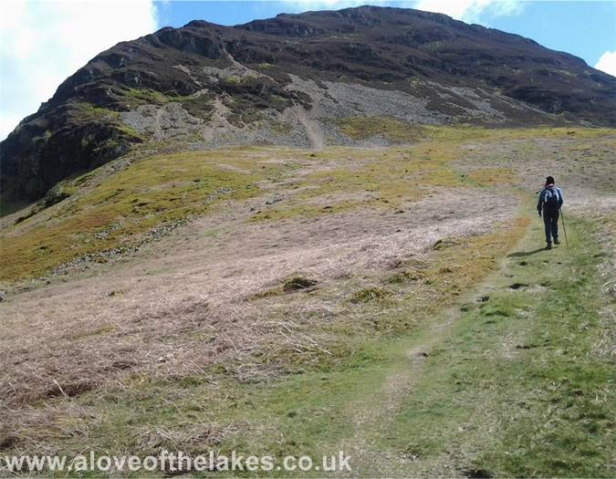 The scree path