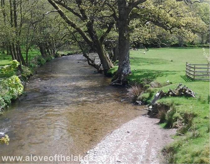 Crossing Park Beck