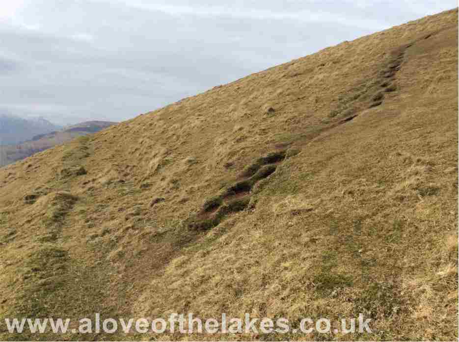 The path splits