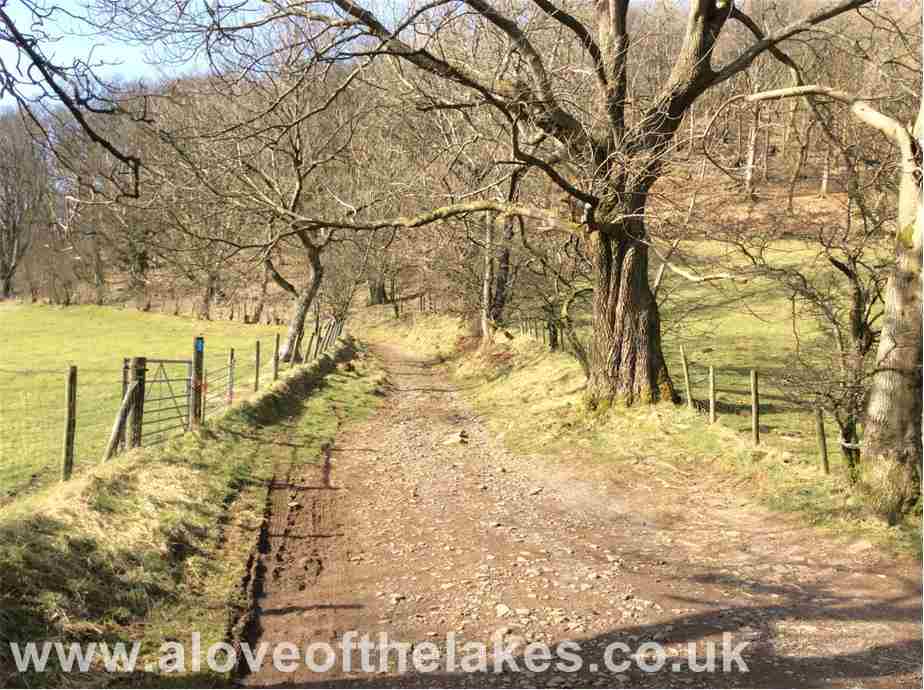 The stony track