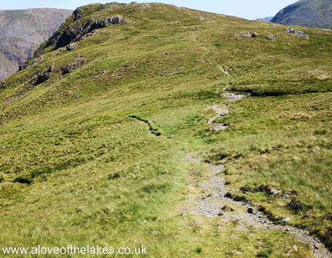 The side path