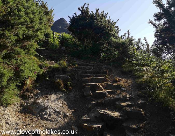 The stepped path