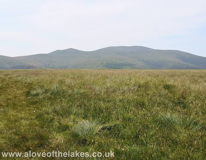 Looking towards the back o` Skiddaw