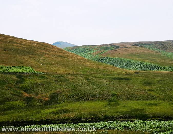 The Northern flank of Mungrisdale Common