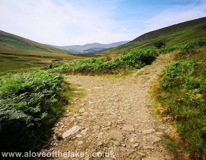 Taking the left fork in the path