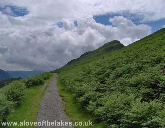 Newlands Round walk