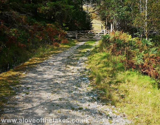 Through the gate and turn left