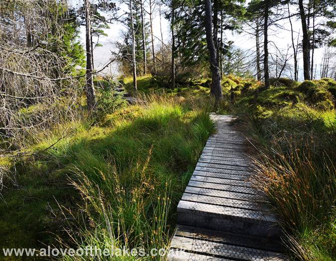 Approaching the viewing platform