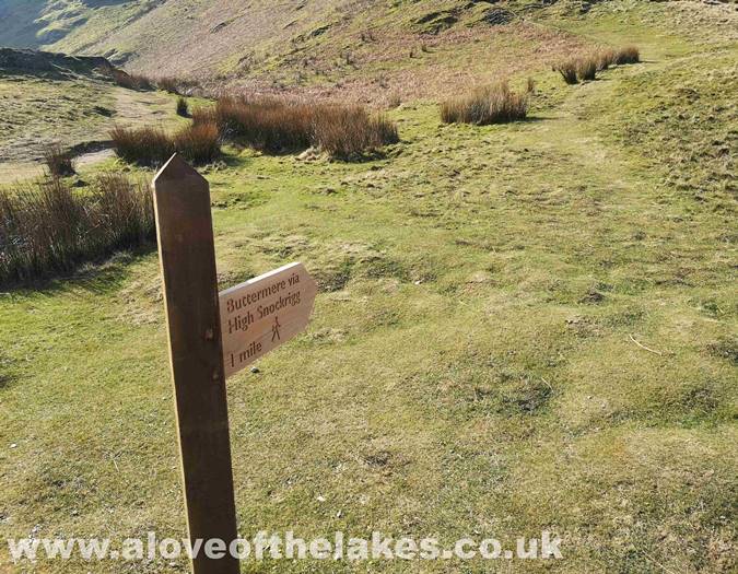 Follow the sign post