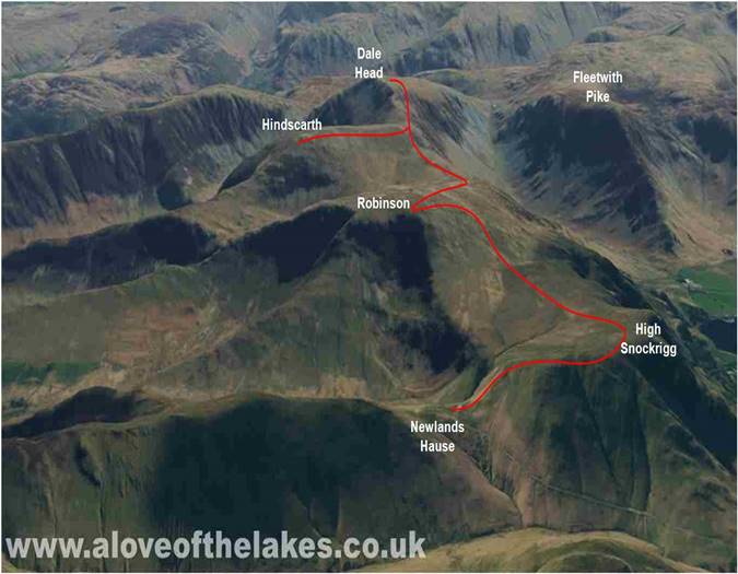 Terrain image