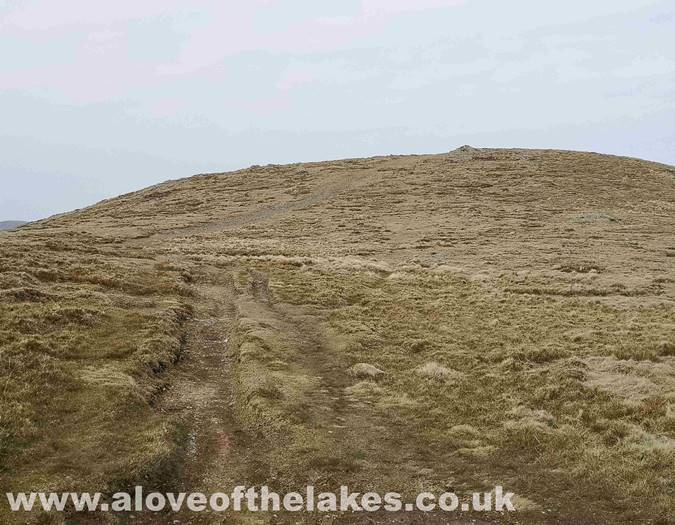 The easy to follow path