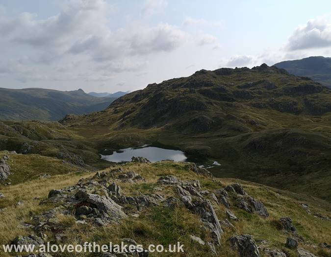 Looking down to Tarn at Leaves