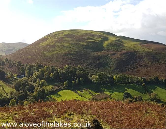 Looking back to Ling Fell