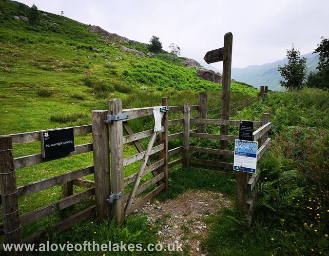 The start of the path