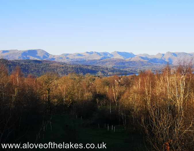 Looking back along the track