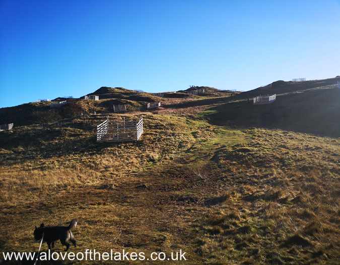 Higher on up the path