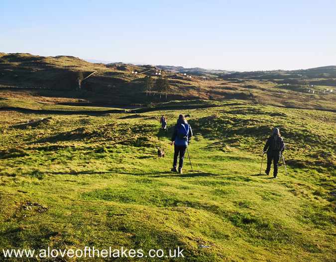 The path to Grandsire