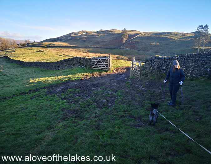 The gate in the field