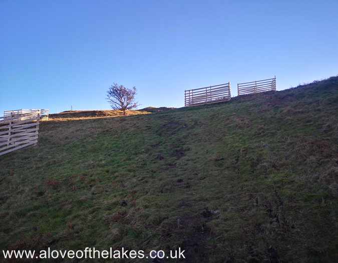 The path starts to climb steadily