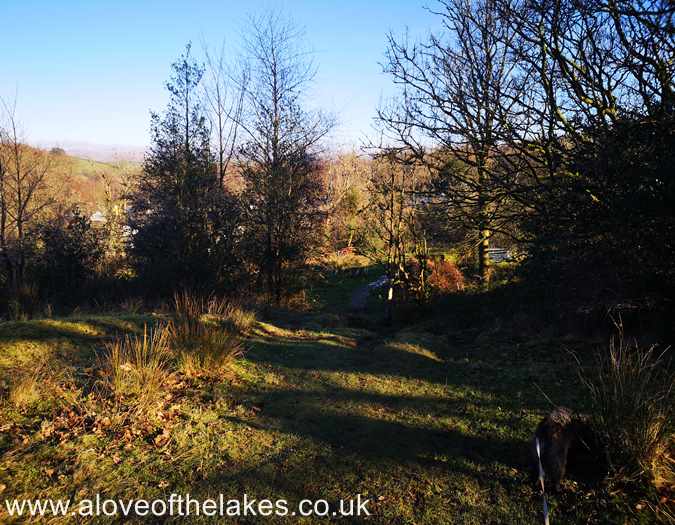The path drops down a little in to an intake field