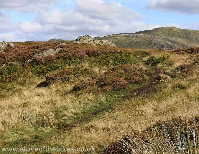 Approaching the summit of Glenridding Dodd