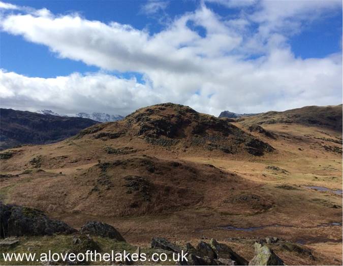 Looking towards Dow Bank