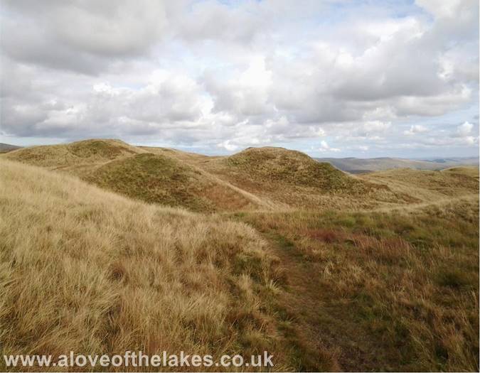 Grassy hillocks