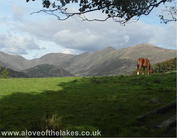 Sour Howes walk