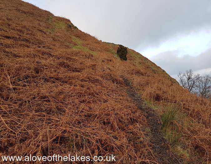 The path onto the ridge