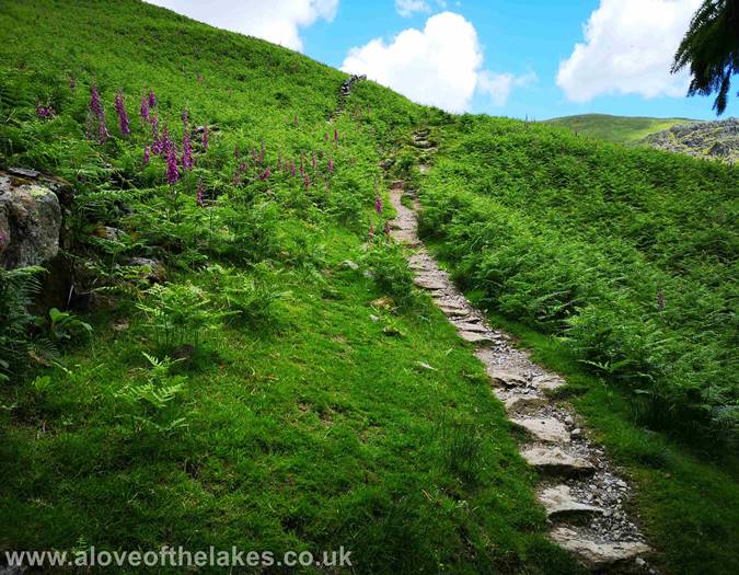 The stepped path
