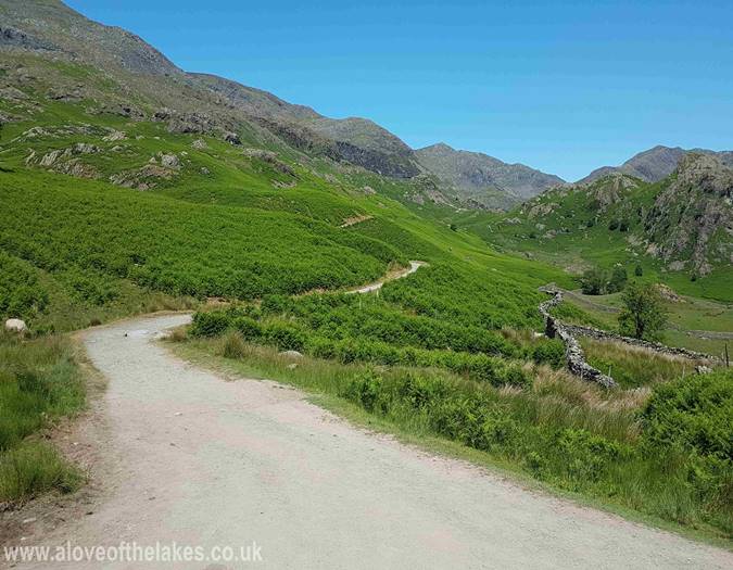 The well defined path