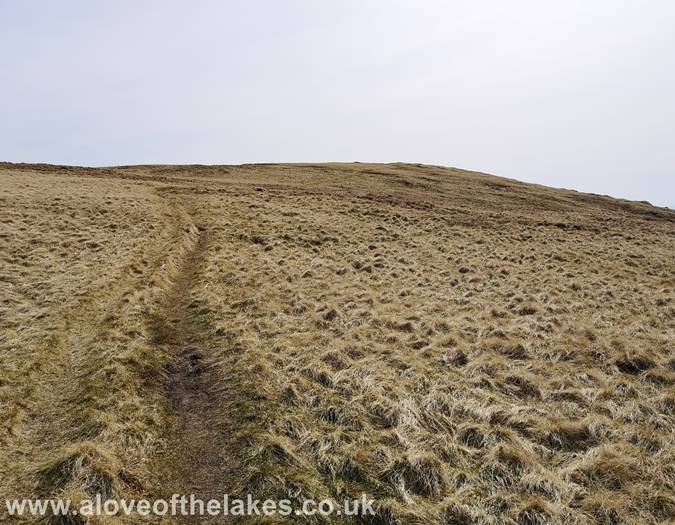 The track to the summit of Tarn Crag
