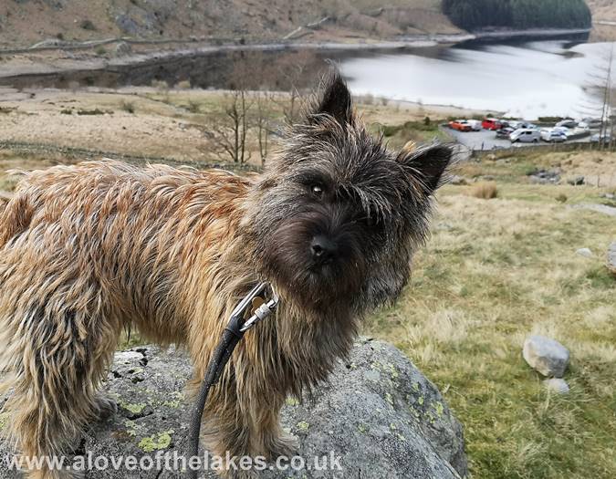 Grey Crag walk