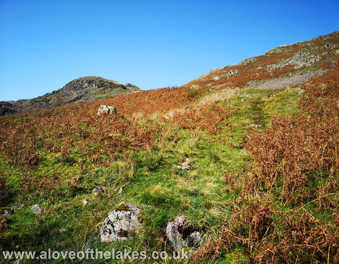 The path becomes easier to follow