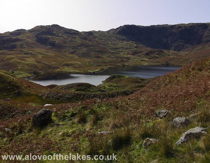 Tarn Crag walk