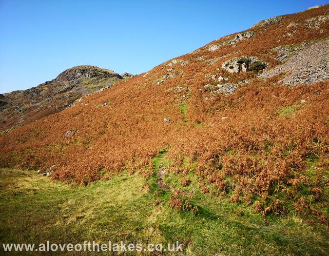 The steep path to the summit