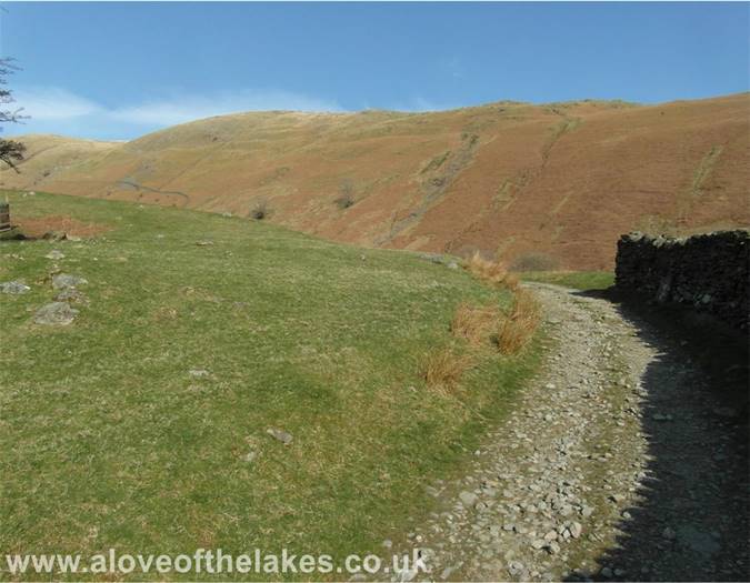 The stony track