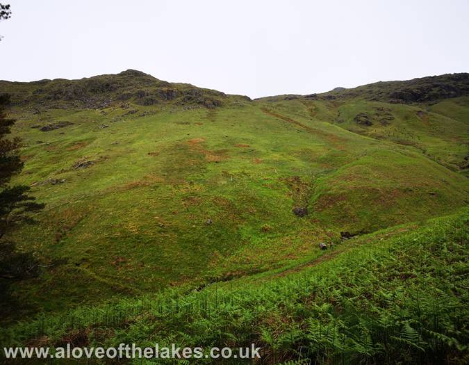 Looking towards Standing Crag
