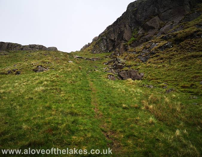 The steep grass rake