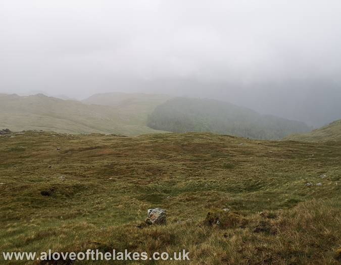 At the top of the grass rake