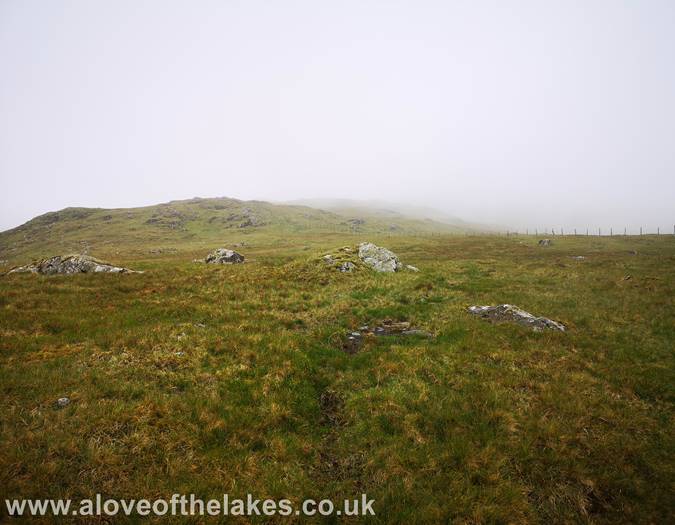 The fence line is key for navigation