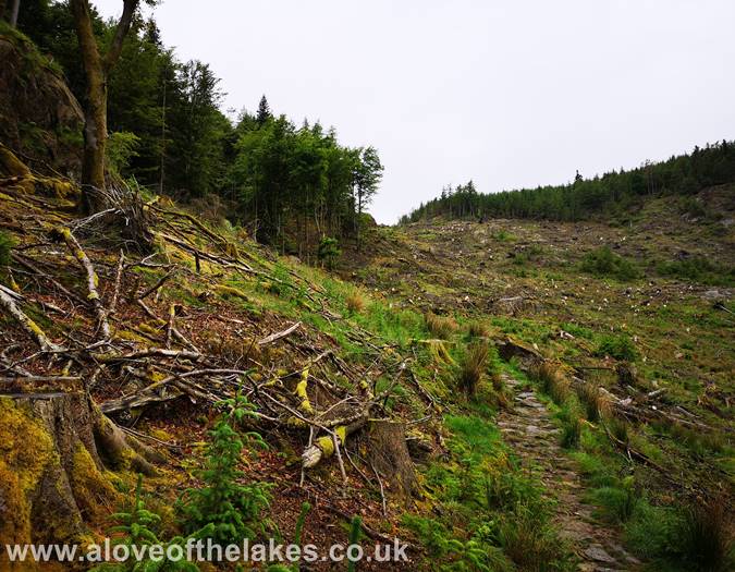 The stone pitched path