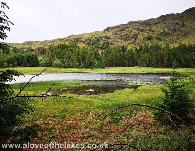Harrop Tarn