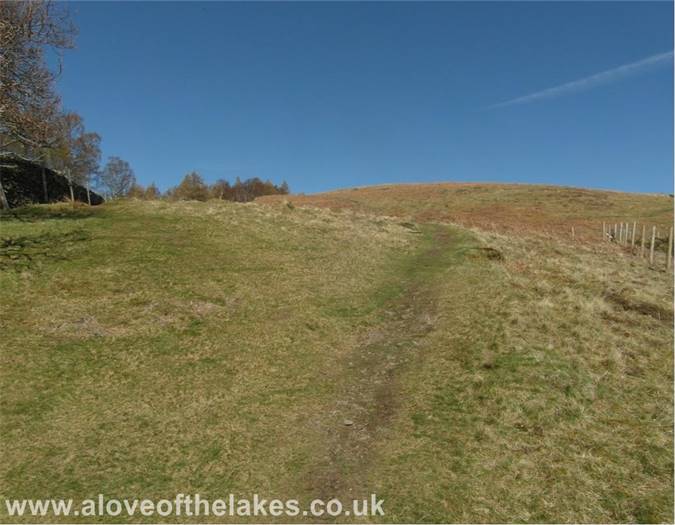 The fork in the path