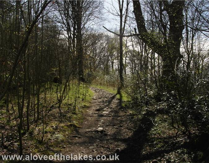 Heading towards the bridge