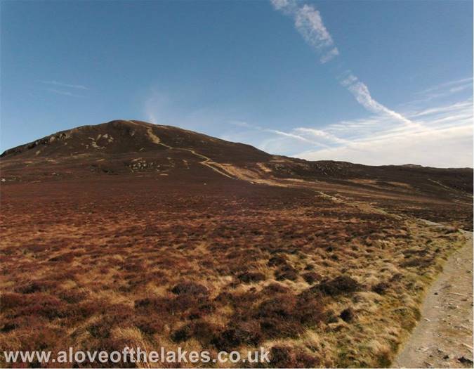 The easy to follow track