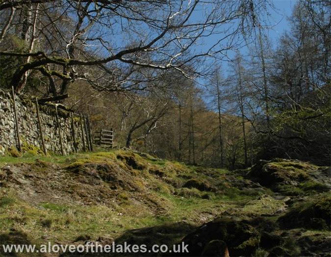 The path veers away from the Gill