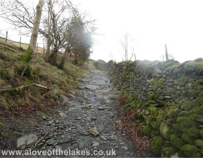 The steep path